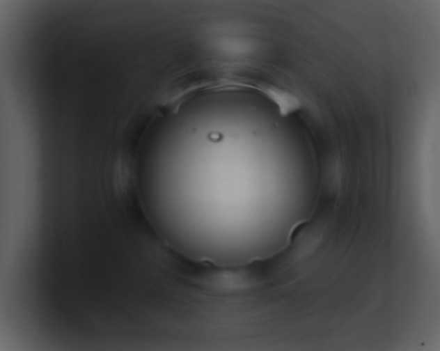X0000101430236200807071348