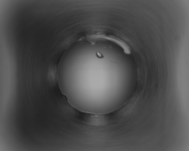 X0000101430240200807071348