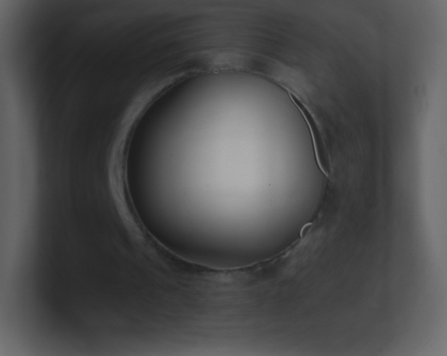 X0000101430241200807071347