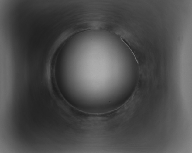X0000101430242200807071347