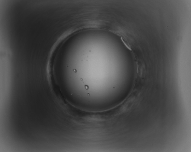 X0000101430244200807071347