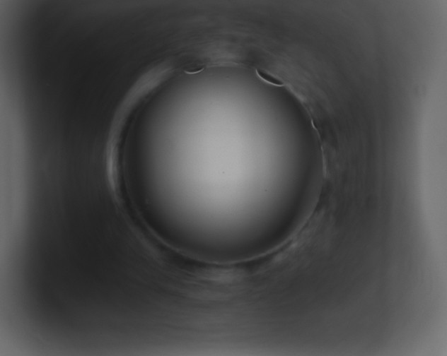 X0000101430245200807071347
