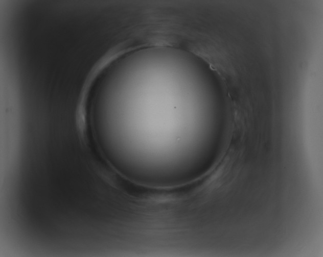 X0000101430246200807071347