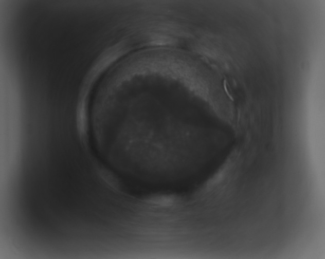 X0000101430247200807071347