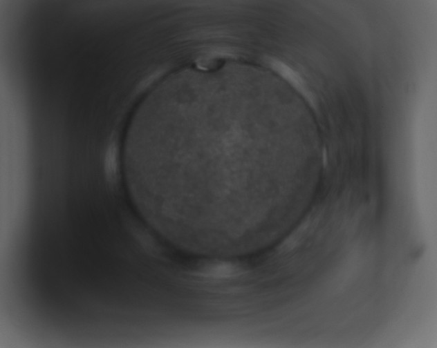 X0000101430249200807071347