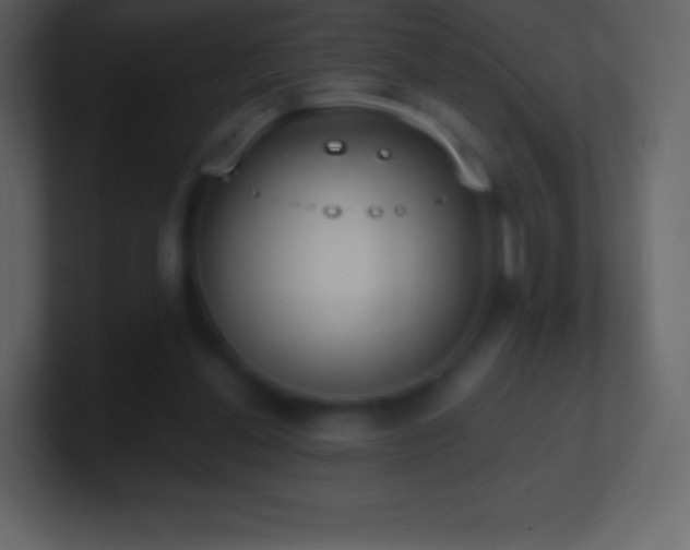 X0000101430252200807071347
