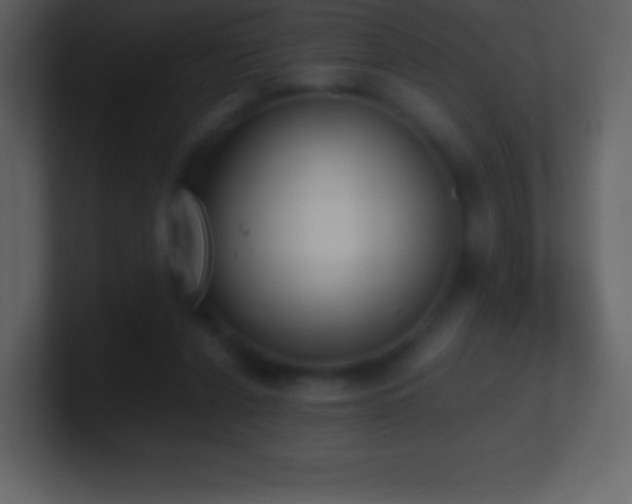 X0000101430256200807071348