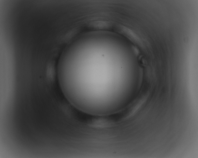 X0000101430259200807071348