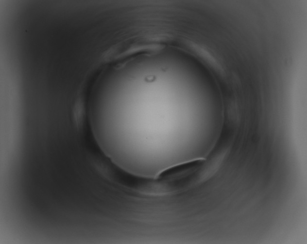 X0000101430260200807071348