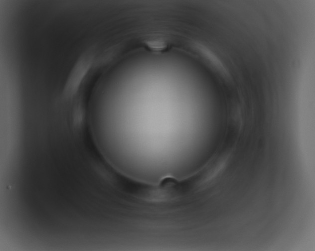 X0000101430261200807071348