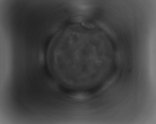 X0000101430267200807071348