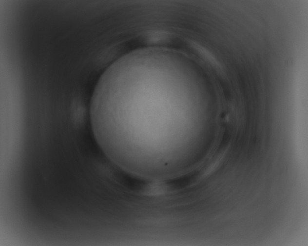 X0000101430269200807071348