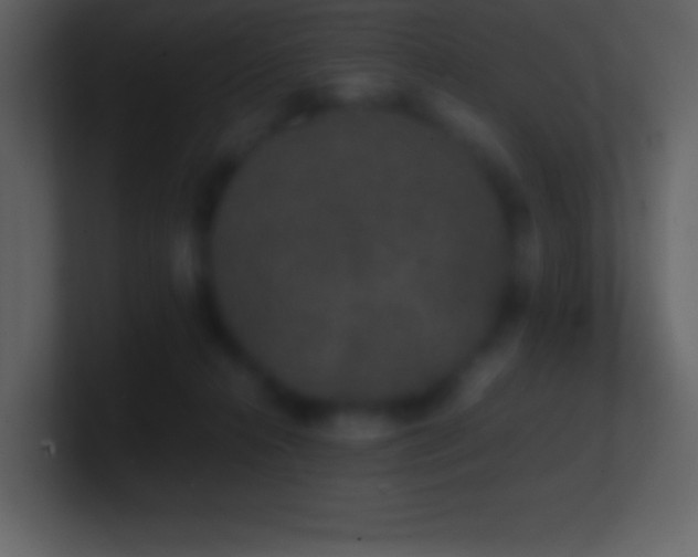 X0000101430272200807071348
