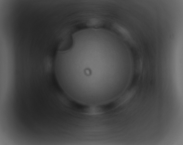 X0000101430273200807071348