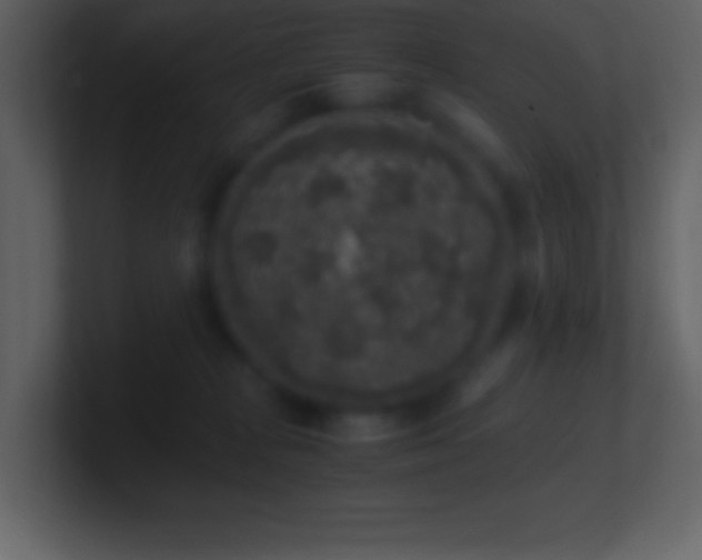 X0000101430277200807071348