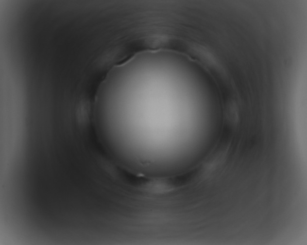 X0000101430280200807071348