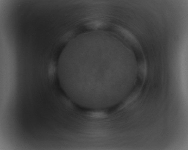 X0000101430284200807071348