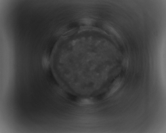 X0000101430285200807071348