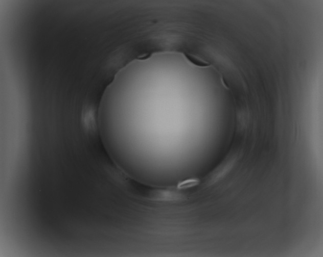 X0000101430286200807071348
