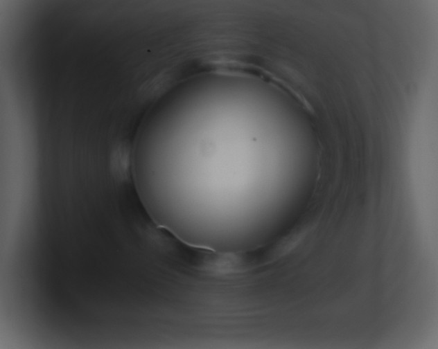 X0000101430288200807071348