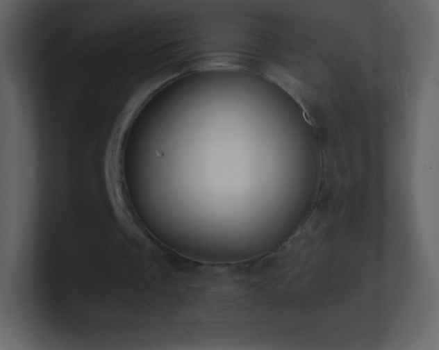 X0000101430289200807071347