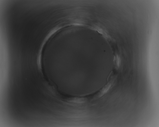 X0000101430292200807071347