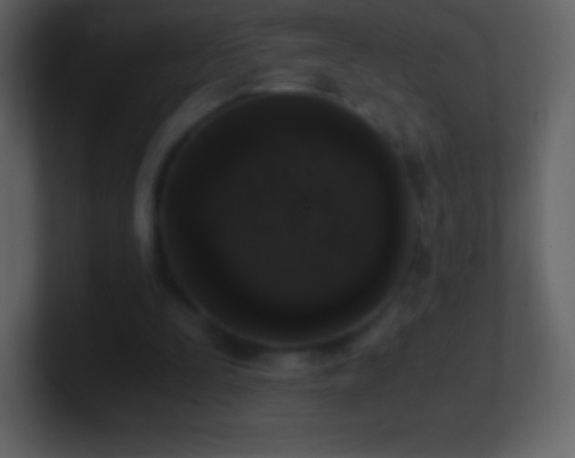 X0000101430295200807071347