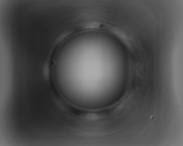 X0000101430298200807071347