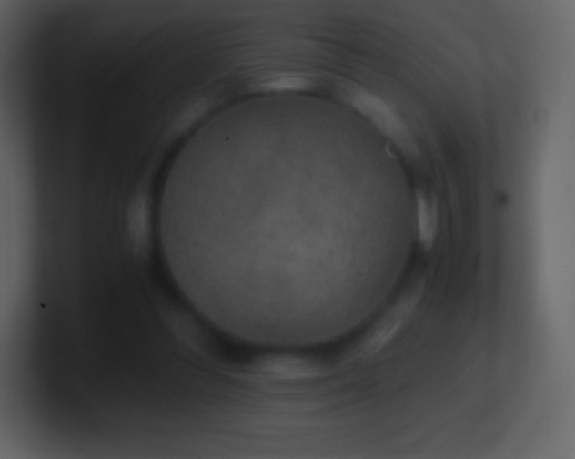 X0000101430300200807071347
