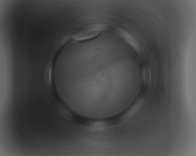 X0000101430301200807071347