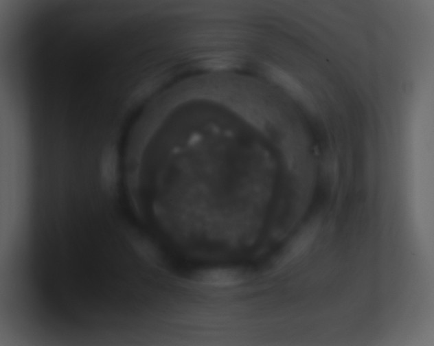 X0000101430303200807071347