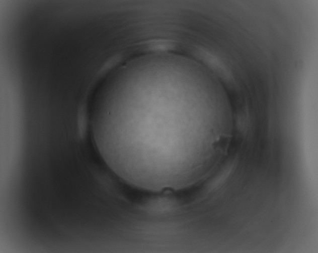 X0000101430304200807071347