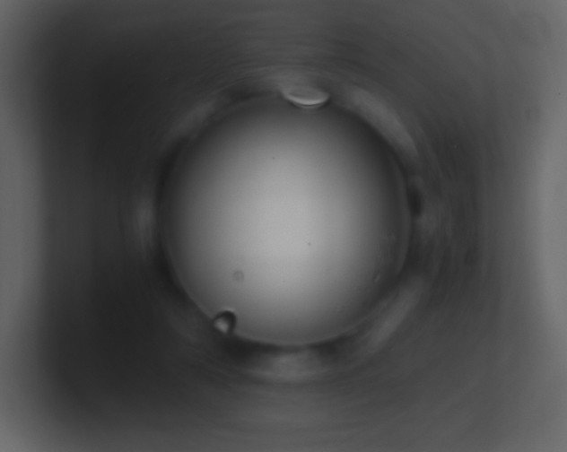 X0000101430306200807071347