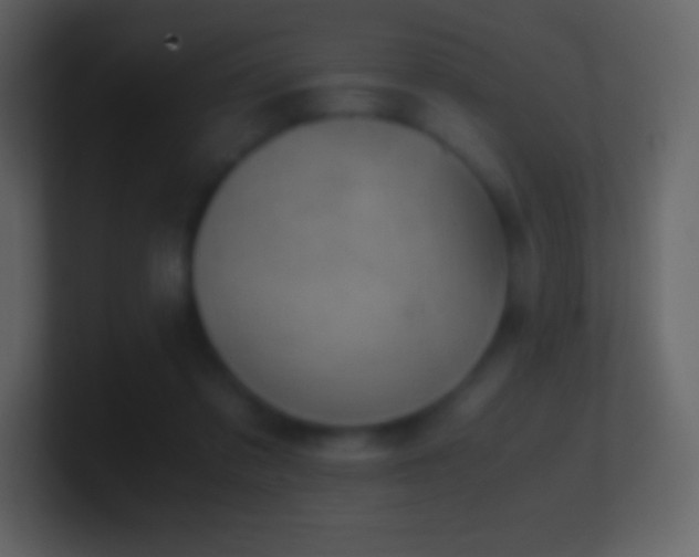 X0000101430309200807071347