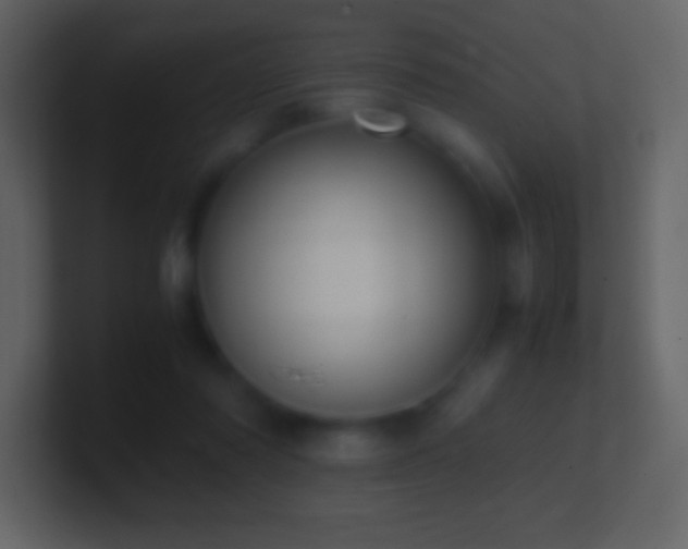X0000101430310200807071347