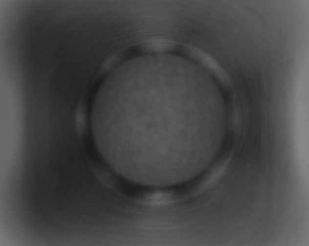 X0000101430312200807071347