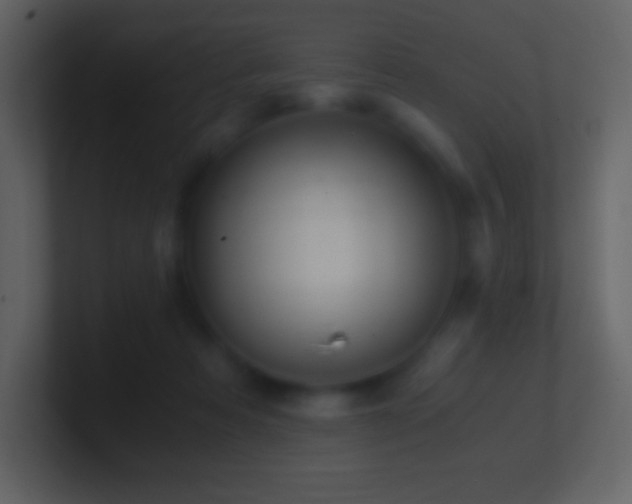 X0000101430313200807071347