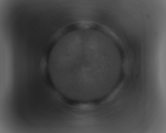 X0000101430314200807071347
