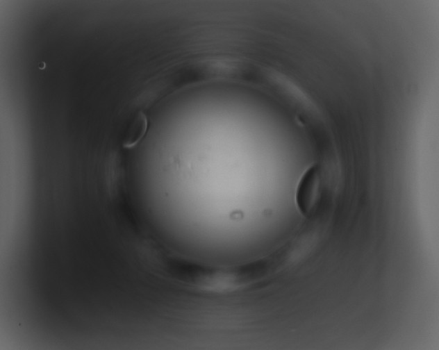 X0000101430318200807071347