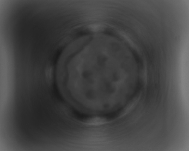 X0000101430319200807071347