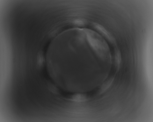 X0000101430320200807071347