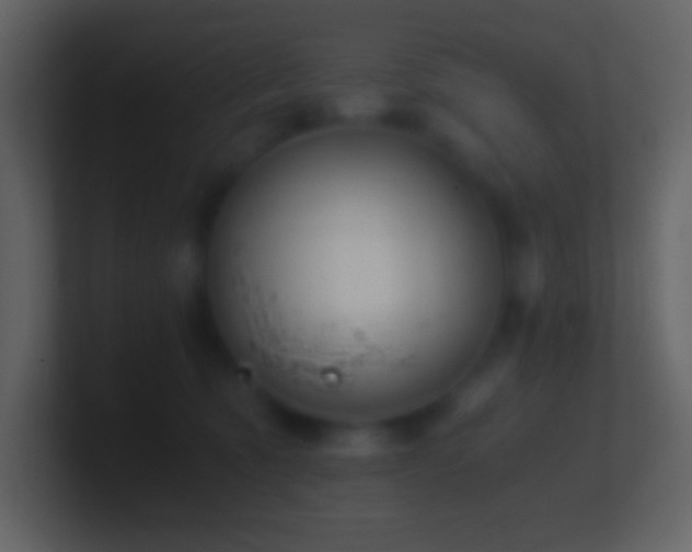 X0000101430321200807071347