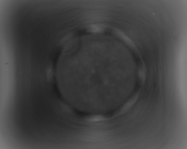 X0000101430322200807071347