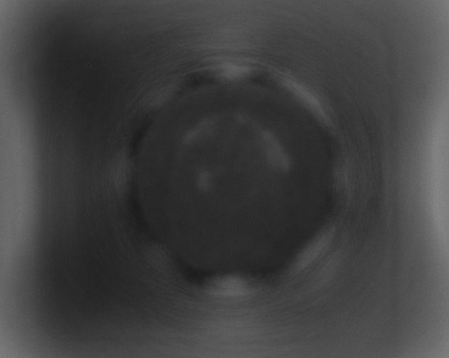 X0000101430325200807071347
