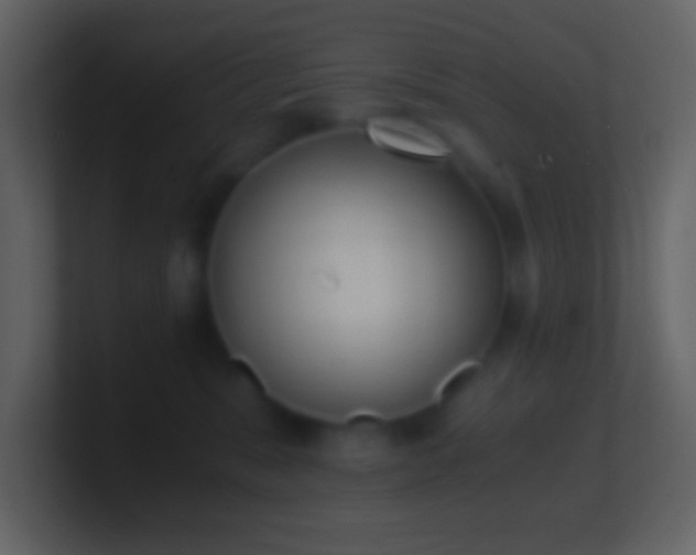 X0000101430327200807071347