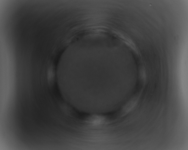 X0000101430328200807071347