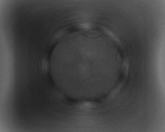 X0000101430330200807071347