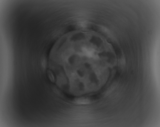 X0000101430331200807071347