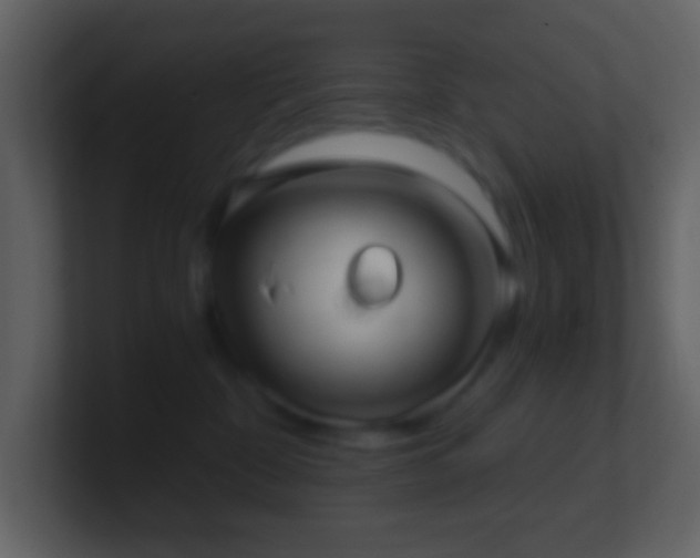 X0000101430332200807071347