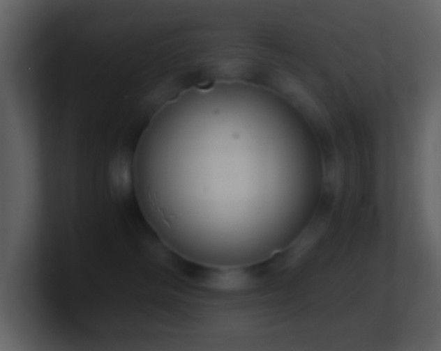 X0000101430334200807071347